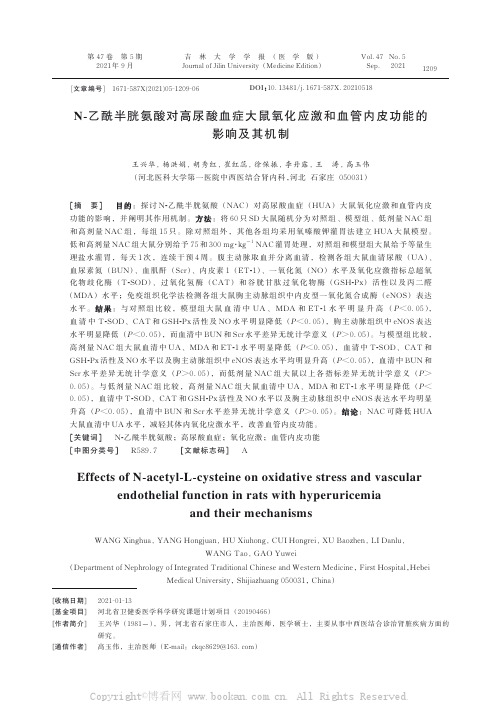 N-乙酰半胱氨酸对高尿酸血症大鼠氧化应激和血管内皮功能的影响及其机制