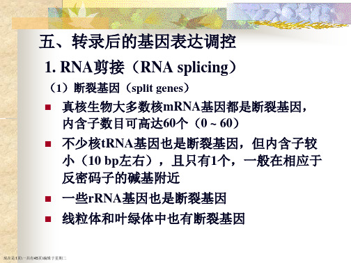 中山大学分子生物学