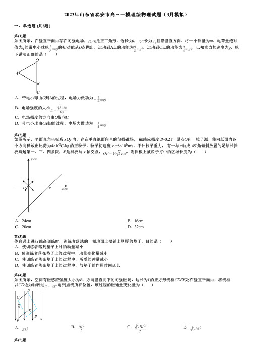 2023年山东省泰安市高三一模理综物理试题(3月模拟)