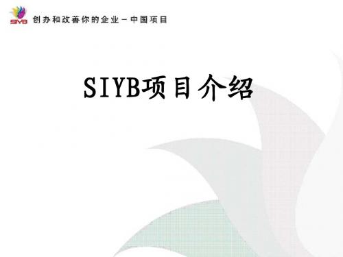 SIYB项目介绍