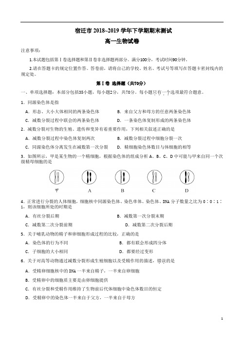 宿迁市2018-2019学年下学期高一生物期末测试卷附答案详析