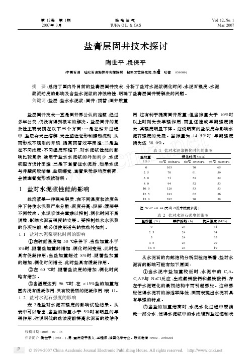 盐膏层固井技术探讨