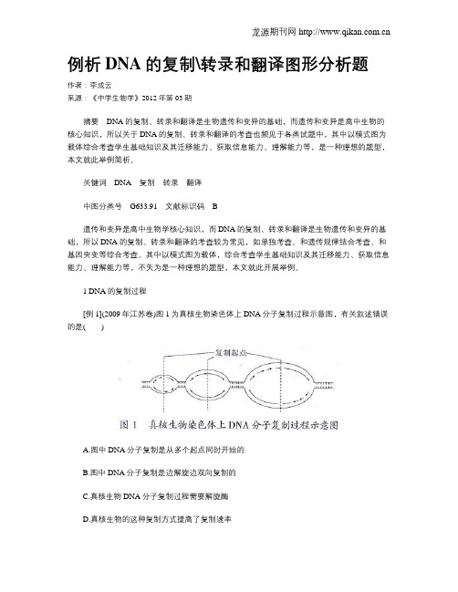 例析DNA的复制转录和翻译图形分析题