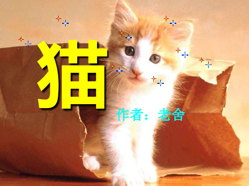 老舍《猫》ppt课件(全课)