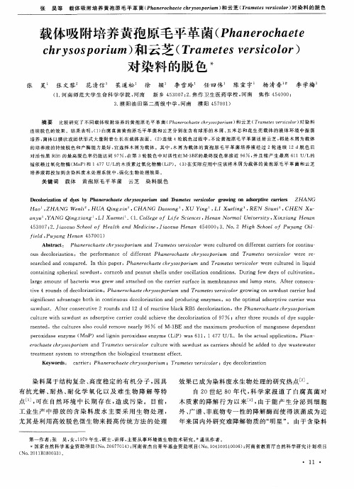 载体吸附培养黄孢原毛平革菌(Phanerochaete chrysosporium)和云芝(Trametesversicolor)对染料的脱