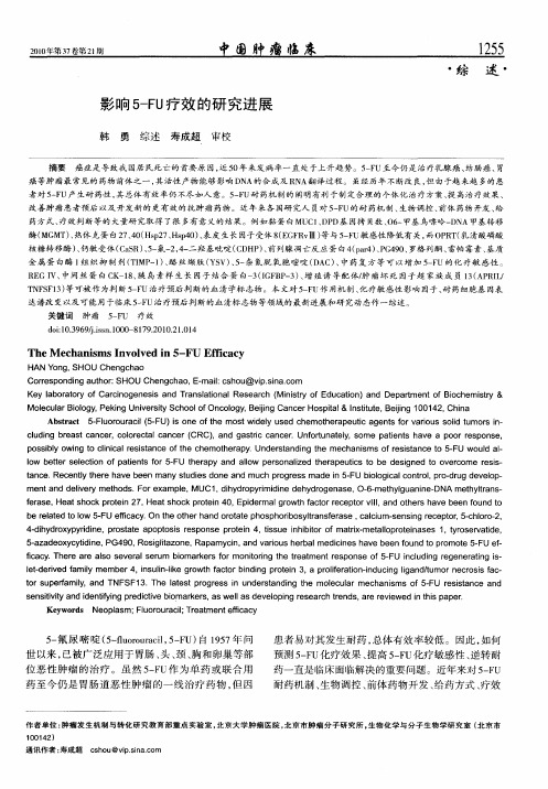 影响5-FU疗效的研究进展