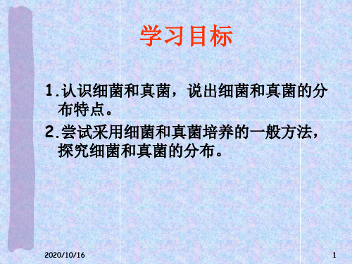 细菌和真菌的分布课件上课用PPT教学课件