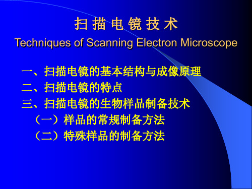 扫描电镜及其制样技术
