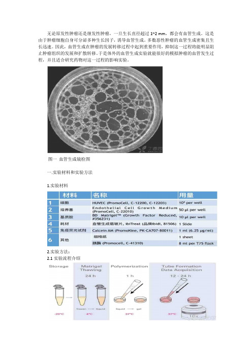 血管生成实验步骤-实验方法完善版