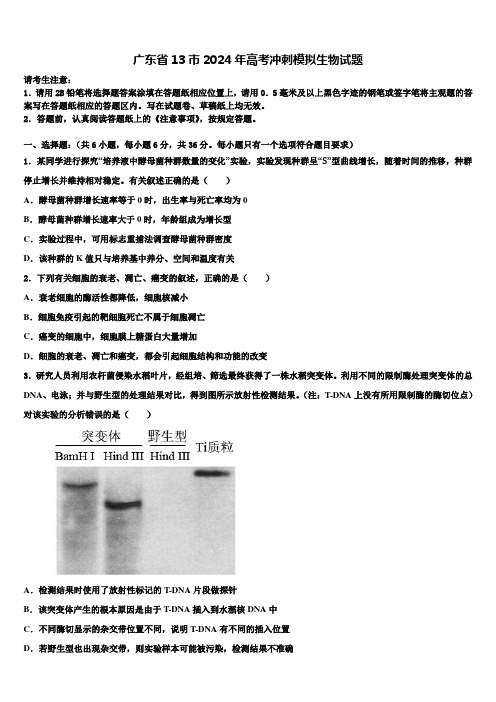 广东省13市2024年高考冲刺模拟生物试题含解析