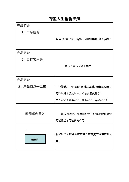 智盈人生销售手册