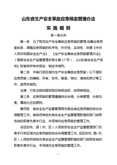 山东省生产安全事故应急预案管理办法实施细则 (1)