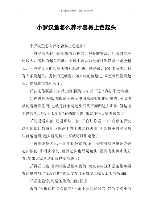 小罗汉鱼怎么养才容易上色起头