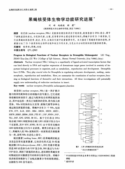 果蝇核受体生物学功能研究进展