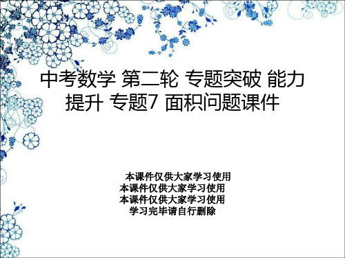 中考数学 第二轮 专题突破 能力提升 专题7 面积问题课件