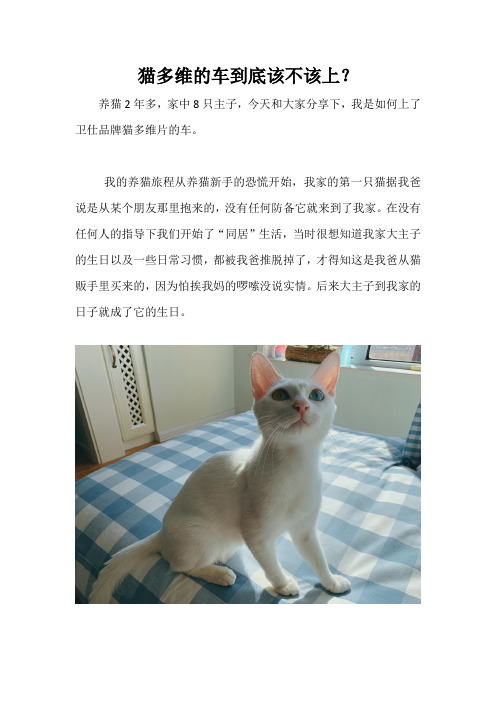 猫多维片的车到底该不该上