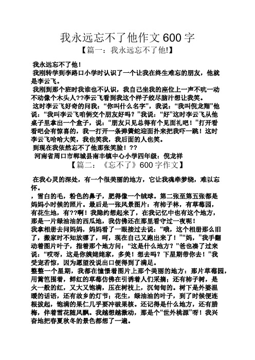 作文范文之我永远忘不了他作文600字