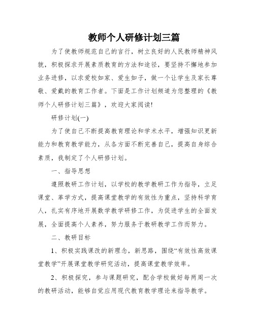 教师个人研修计划三篇