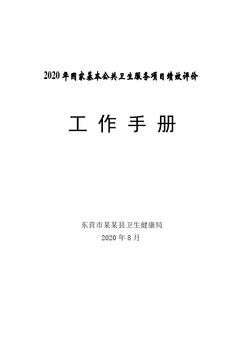 某某县2020年上半年基本公共卫生服务项目绩效评价手册(20200804111)