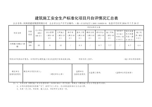 项目月自评汇总表2-3