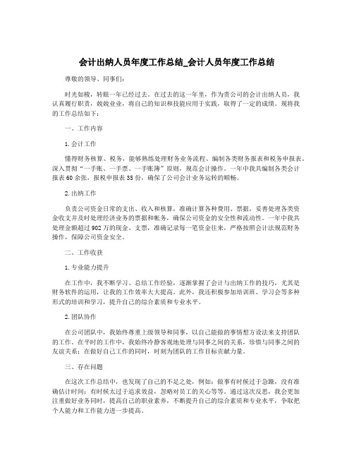 会计出纳人员年度工作总结_会计人员年度工作总结