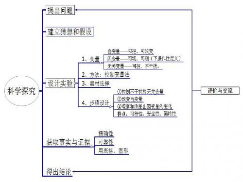 科学探究第一课时