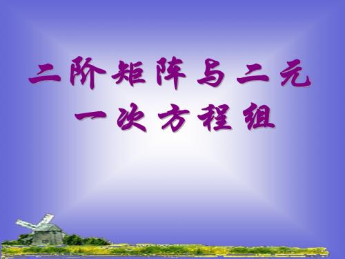 数学：3.3.1《二阶矩阵和二元一次方程组》课件(新人教A选修4-2)