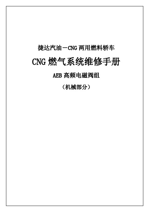 捷达新款AEB共轨系统--捷达车用顺喷CNG系统维修手册(AEB共轨机械部分)