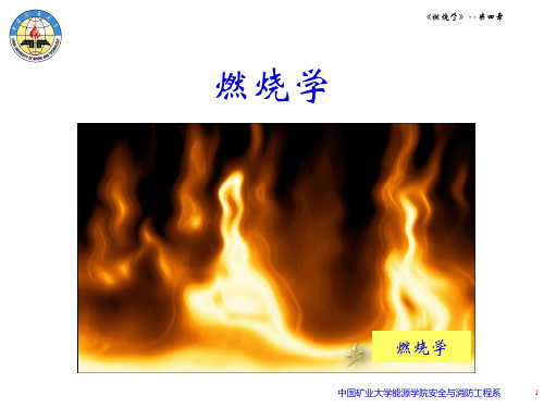 燃烧学—第4章2