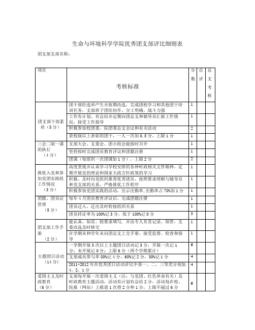 优秀团支部第一轮评比评分表