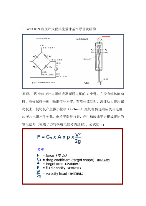 WELKIN靶式流量计