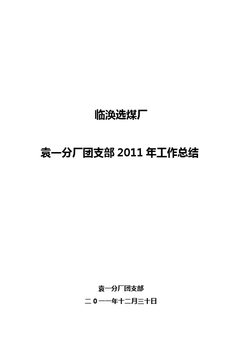 团支部2011年工作总结