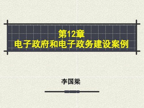 电子政府与电子政务电子政府和电子政务建设案例1