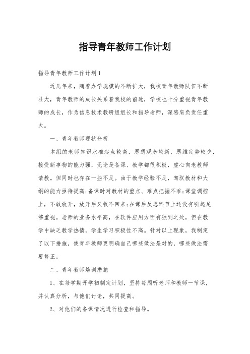 指导青年教师工作计划