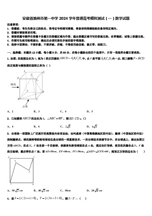 安徽省滁州市第一中学2024学年普通高考模拟测试(一)数学试题