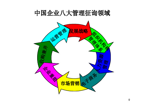 罗兰贝格中国企业管理咨询