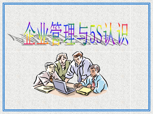 企业管理中的5S(ppt 38页)