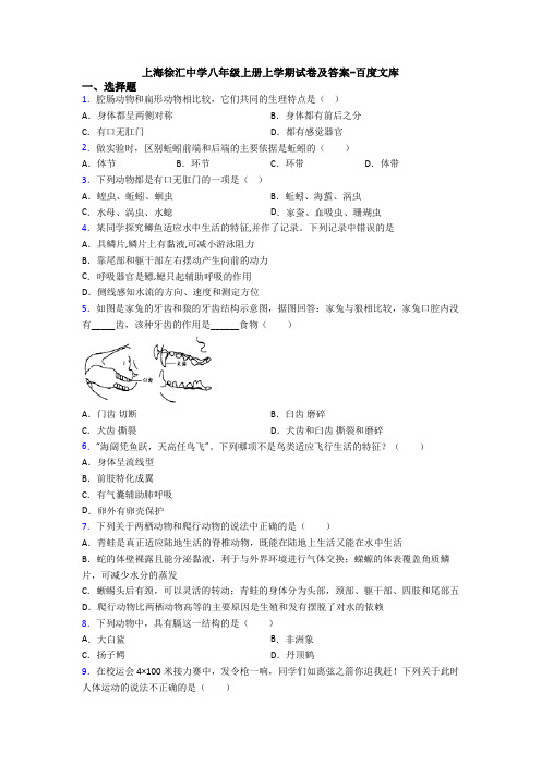 上海徐汇中学八年级上册上学期试卷及答案-百度文库