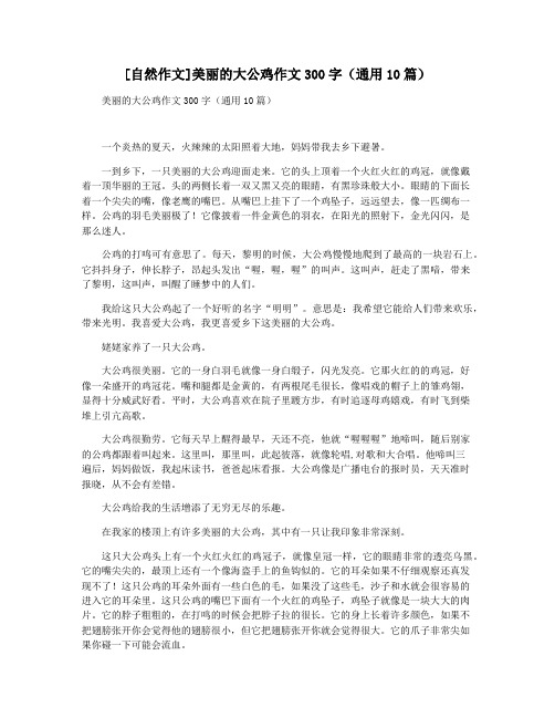 [自然作文]美丽的大公鸡作文300字(通用10篇)