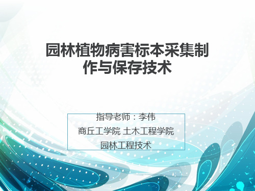 园林植物病害标本采集、制作与保存技术