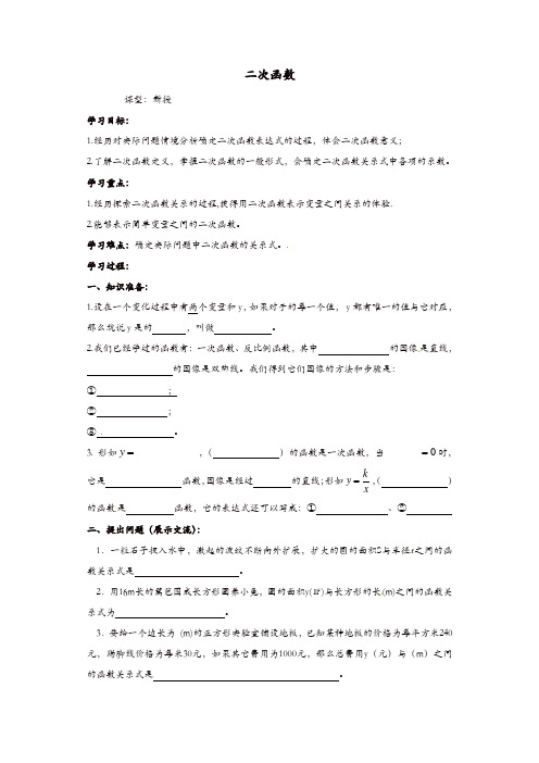 【精品】苏科初中数学九年级下册《5.1 二次函数》教案 (1)