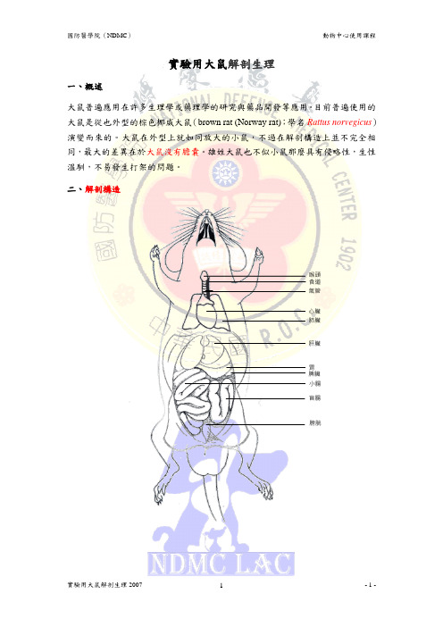 实验用大鼠解剖生理