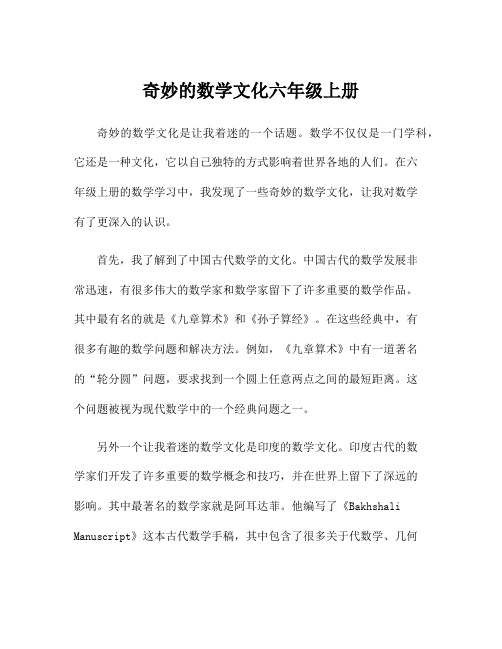 奇妙的数学文化六年级上册