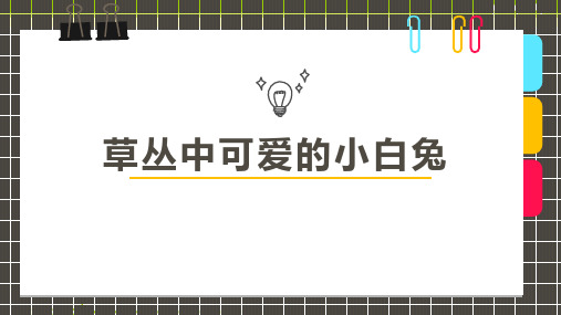 少儿7-9岁水粉粘土手工小白兔—美术课件