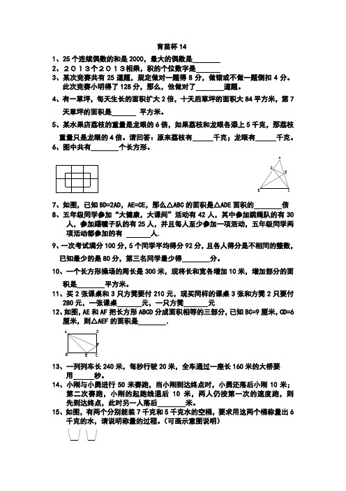 育苗杯决赛模拟试题(14)