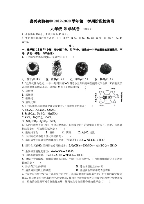 嘉兴市实验初中2019-2020学年初三第一学期9月月考科学试卷(含答案)