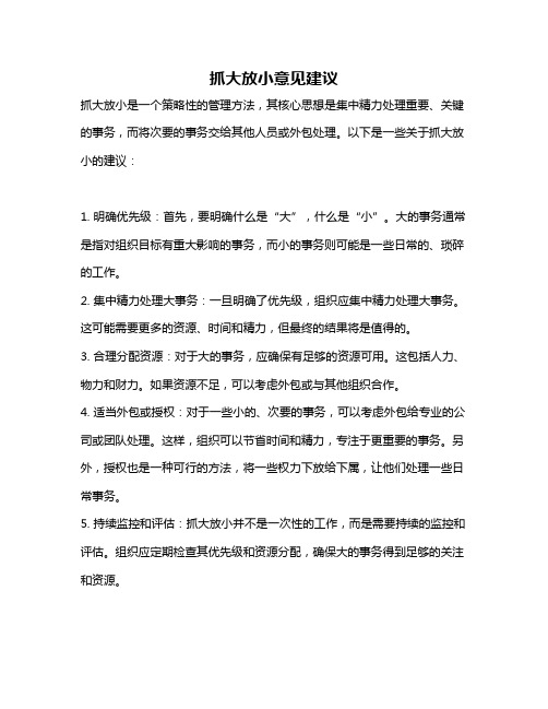 抓大放小意见建议