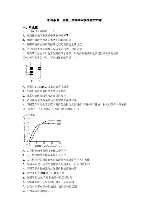 浙科版高一生物上学期期末模拟测试试题