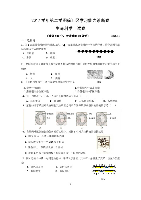 2018届上海市徐汇区高三下学期质量调研测试(二模)生命科学试卷(2018.04)