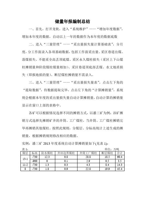 储量年报编制总结